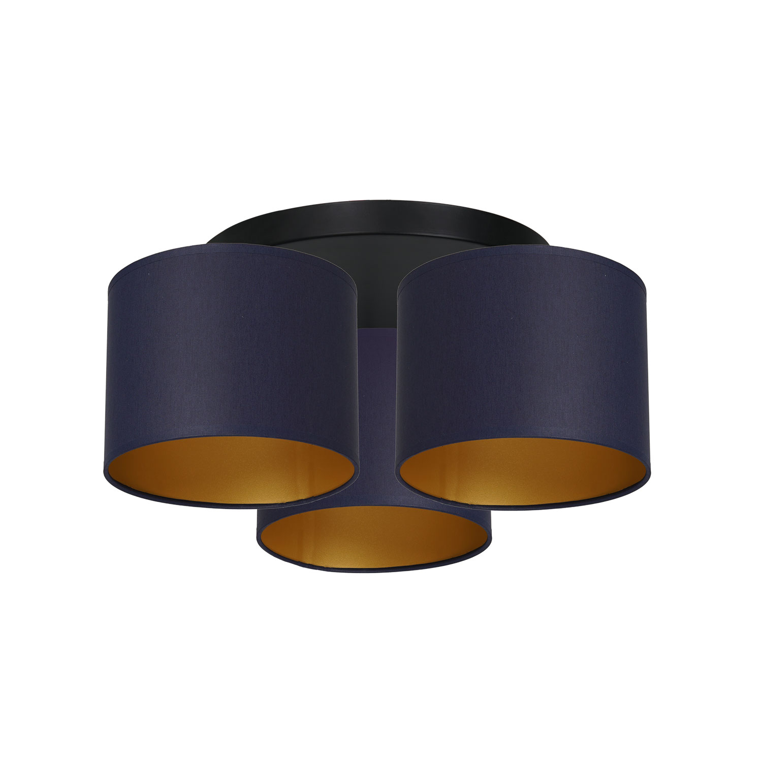 Arden 3564